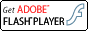 Get the Latest Adobe Flash Player